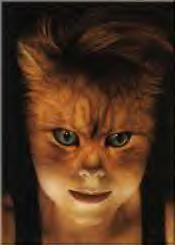 Feline