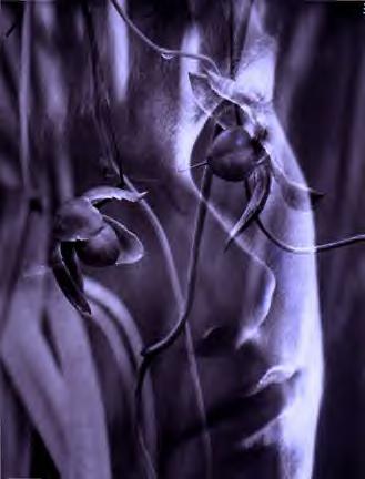Poppy Z. Brite by J.K. Potter